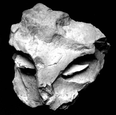 Figure 2. The proto-figurine “mask” (Marquet and Lorblanchet 2003, 664).